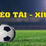 Bí kíp chơi kèo tài xỉu thắng lớn từ chuyên gia Siu88