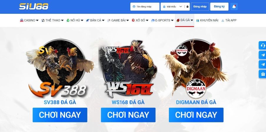 Siu88 - sảnh đá gà uy tín